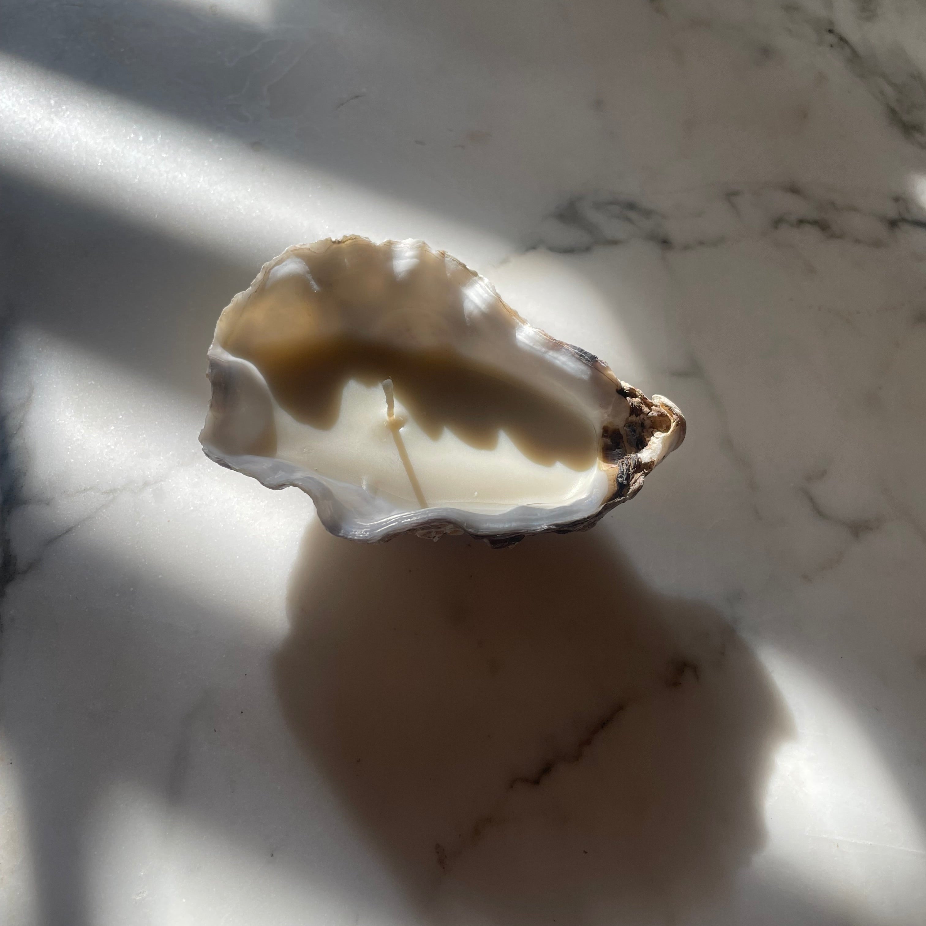 Oyster Shell Tealights